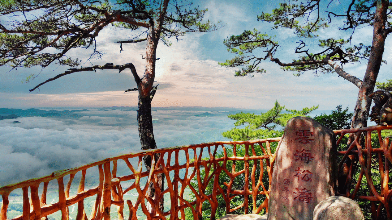 雲海松島